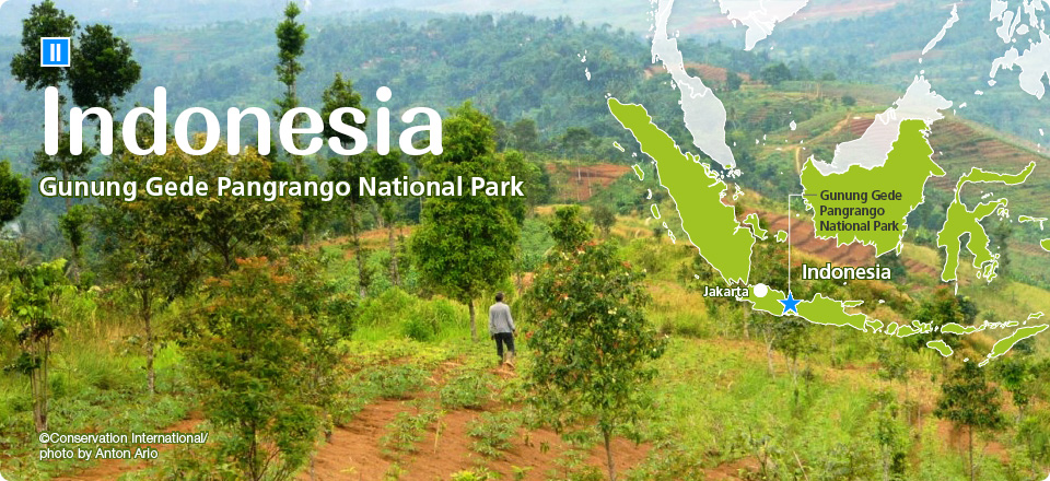 Indonesia: Gunung Gede Pangrango National Park
